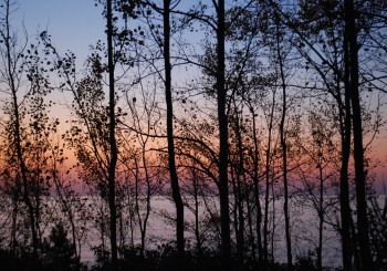 Longest Night Service: Pausing. Stillness. Wonder.